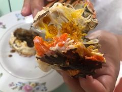 阳澄湖大闸蟹-黄记大闸蟹专卖店·活蟹·醉蟹