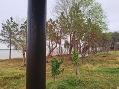 -瑶湖郊野森林公园