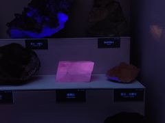 -湖南省地质博物馆