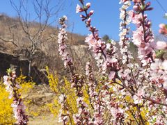 -白水寺森林公园