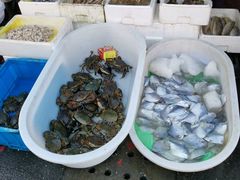 -芦潮港集贸市场