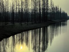 -黄海国家森林公园