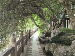 -南通濠河风景名胜区