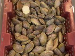 -华威西营里农产品批发市场