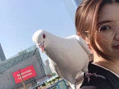 -国芳中心