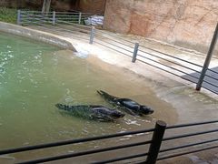 -齐齐哈尔龙沙动植物园