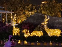 -三亚游船旅游中心(三亚鹿回头游艇游船公共码头店)
