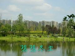 河景-两河城市森林公园