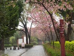 -正定古城-开元寺