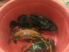 -真浪花园海鲜餐馆