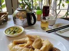 白切鸡-广宁炭炉鸡煲·富临门饭店