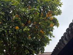 -王阳明故居