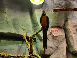 -Zoolung Zoolung动物主题公园(海信广场店)