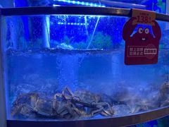 -七欣天香辣蟹火锅(上海银亿滨江店)