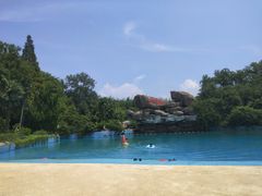 -金孔雀温泉旅游度假村