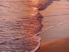 -三亚海棠湾万丽度假酒店