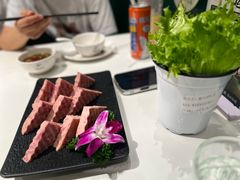 -烹然四季椰子鸡火锅(姚家园万象汇店)