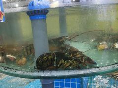 -抹直口特色菜馆(一店)