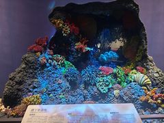 -中国湿地博物馆