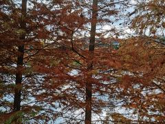 -贵阳市花溪国家城市湿地公园