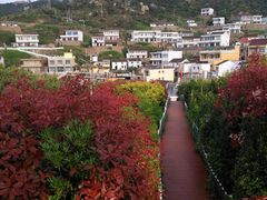 -枸杞岛