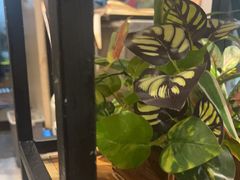 -鱼亨小鲜酸菜鱼(大信店)