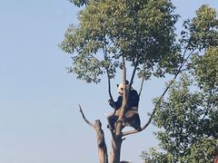 -杭州野生动物世界