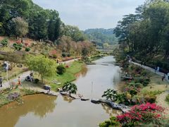 -东莞植物园