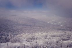 -大秃顶子山(雪谷店)