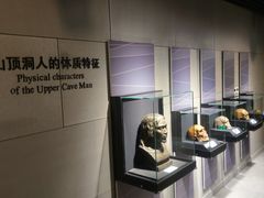 -北京周口店北京人遗址博物馆