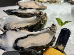 -Oyster Talks 四度蚝法餐厅