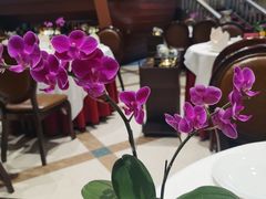 -金河半岛园林酒家(金融城店)