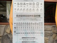-白洋淀景区