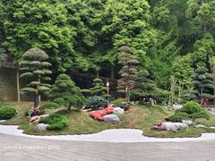 -都江堰普照寺