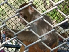 -长白岛森林公园