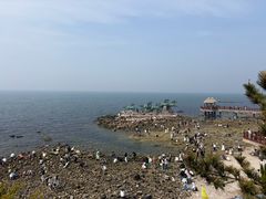 -养马岛旅游度假区