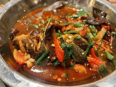 -金龙寨(解西店)