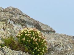-灵山