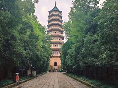 -灵谷景区