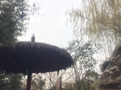 -西安国际创新人才交流中心•药浴温泉
