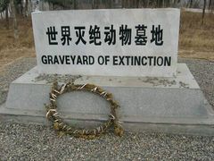 -北京麋鹿生态实验中心