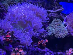-上海海昌海洋公园