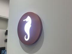 -海马体大师店(广州天汇广场IGC大师店)