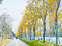 -洲头咀公园