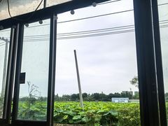 -渔闻农家菜