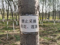 -东郊湿地公园