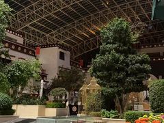 -拉萨圣地天堂洲际大饭店-自助餐厅
