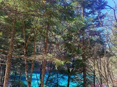 -西姆山居酒店(九寨沟沟口店)