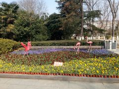 -泰州凤城河风景区-泰山公园