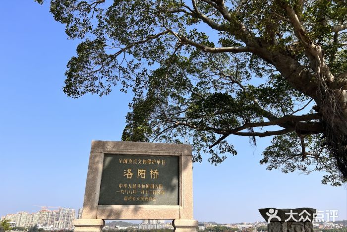 洛阳桥图片